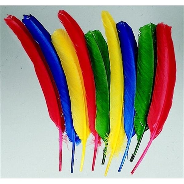 School Smart School Smart 086301 10-12 In. Non-Toxic Long Colored Quill; Pack 100 86301 - main